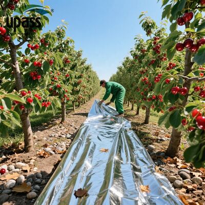 Премиальная сельскохозяйственная светоотражающая пленка для мульчирования из серебристого полиэтилена, разлагаемая, предотвращающая рост сорняков для вишневых деревьев