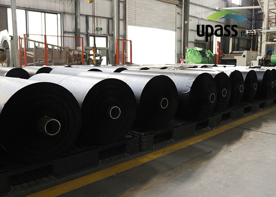 Делая водостойким термальным полиэстровая пленка PE HDPE фильма отпуска покрытая силиконом